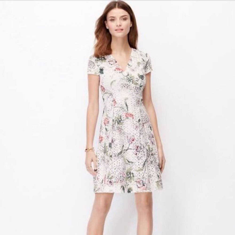 Ann Taylor Floral Eyelet Dress